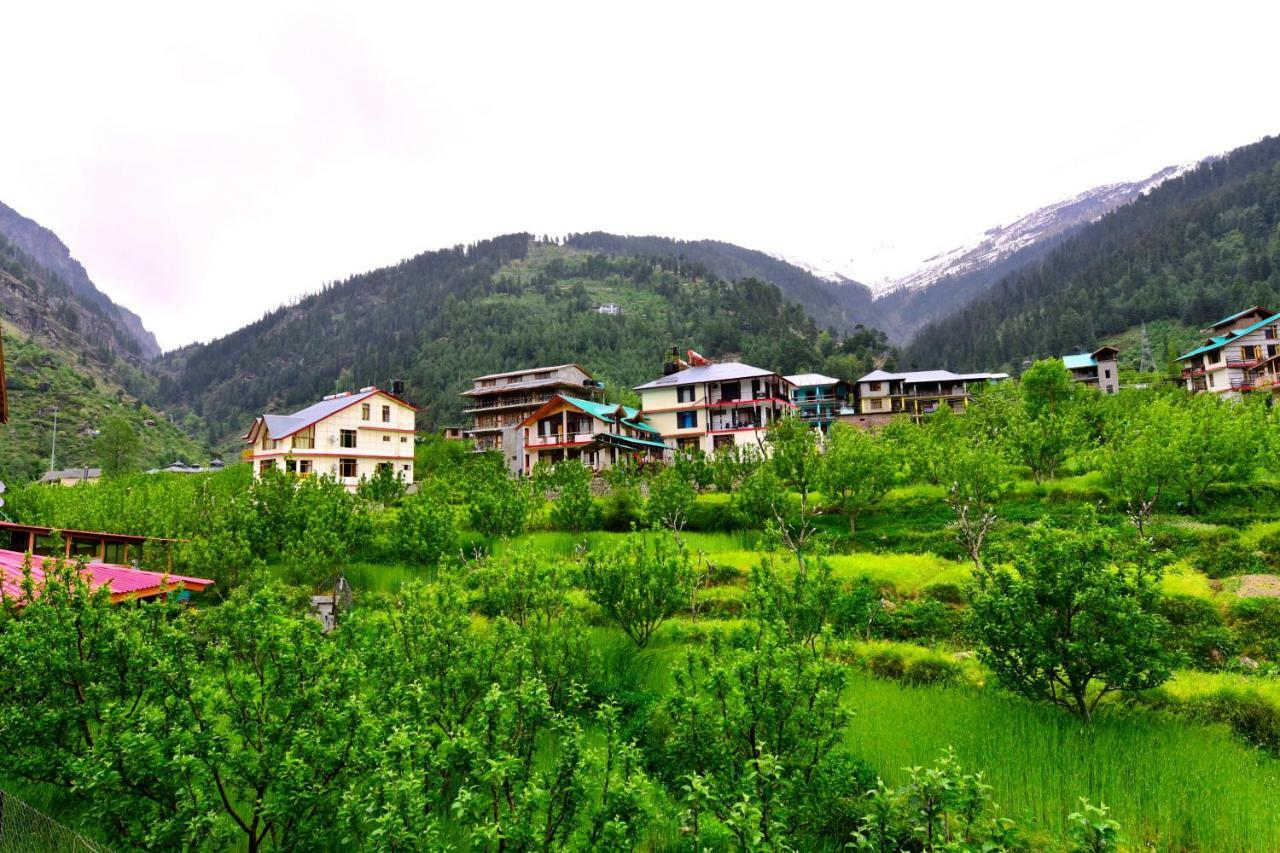 Oyo 38759 Tara Cottages - Manali (Himachal Pradesh) — Photos 1